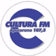 Rádio Cultura Apucarana logo