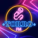 Torrofm logo
