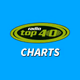 Radio Top 40 - Charts logo
