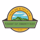 Pleasant Gap Community Radio logo