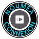 Nouméa-Connexion logo