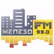 Железо ФМ logo