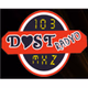 Dost Radyo 1030 logo
