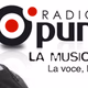 Radio Punto Nuovo logo