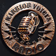 Warrior Voices Radio logo