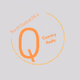 North Central PA's Q Country Radio logo