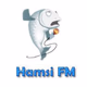Hamsi FM logo