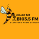 B103.5 - WDDB-LP logo