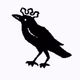 Canstein FM logo