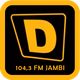 D Radio 104,3 FM logo