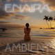Enaira Ambient logo