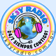 Sk3y Radio logo