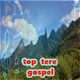 Rádio Top Tere Gospel logo