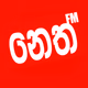 Neth FM logo