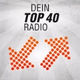 Radio Neandertal - Dein Top40 logo