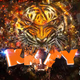 K.K.T.Y. Tiger Country Radio logo
