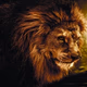 Solace Radio logo