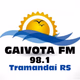 Rádio Gaivota logo