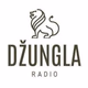 Radio Džungla Doboj - Program II logo