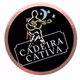 Rádio Web Cadeira Cativa logo