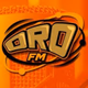 ORO FM 88.1 - XHSCJS logo