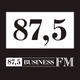 Бизнес ФМ logo