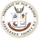Old Bridge Township EMS Fire and Police logo