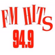 Hits FM 94.9 logo