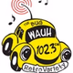 102.3 The Bug - WAUH logo