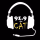 91.9 the Cat - KWSC logo