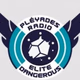 Pleyades Radio logo