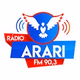 Rádio Arari FM logo