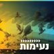קול חי מיוזיק - ישראלי אלטרנטיבי logo