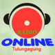 Radio Online Tulungagung logo