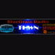 Tar Heel World Network - BlueGrass logo