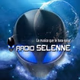 Radio Selenne logo