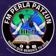 FM Perla 107.9 Patzun logo