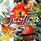 Exotica Radio logo