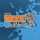 The Whale 99.1 FM - WAAL logo