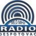 Puls 91.1 FM - Radio Despotovac logo