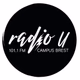 Radio U 101.1 logo