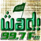 WADI FM logo