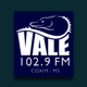 Vale 102 FM logo