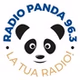Radio Panda 96.3 logo