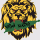 ViiLD Country logo