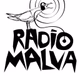 Ràdio Malva 104.9 FM logo
