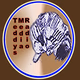 Teddy's Media Radio logo