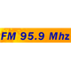 Radio Algérienne - Radio Aïn Témouchent logo