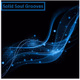 Solid Soul Grooves logo