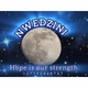 Nwedzini community radio logo